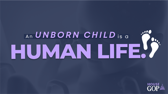 House Republicans Defend Life